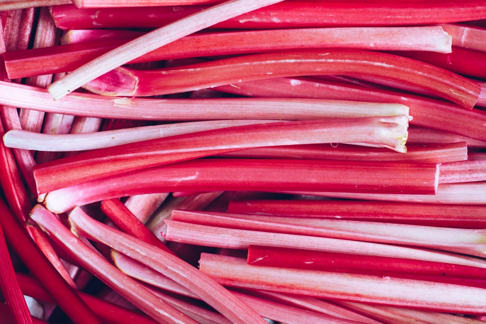 freshly cut rhubarb stalks in a pile