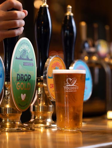 School of Hard Knocks